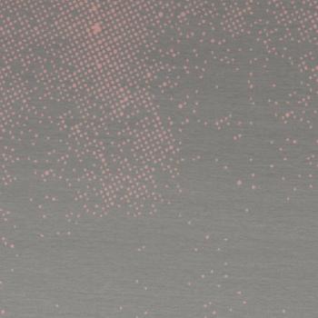 Baumwoll Jersey Great Fog Hellgrau-Rosa by Käselotti von Swafing